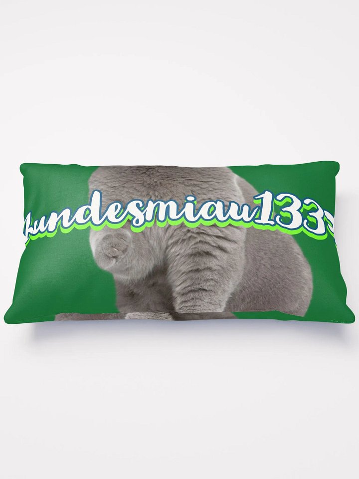 Fan Kissen product image (1)