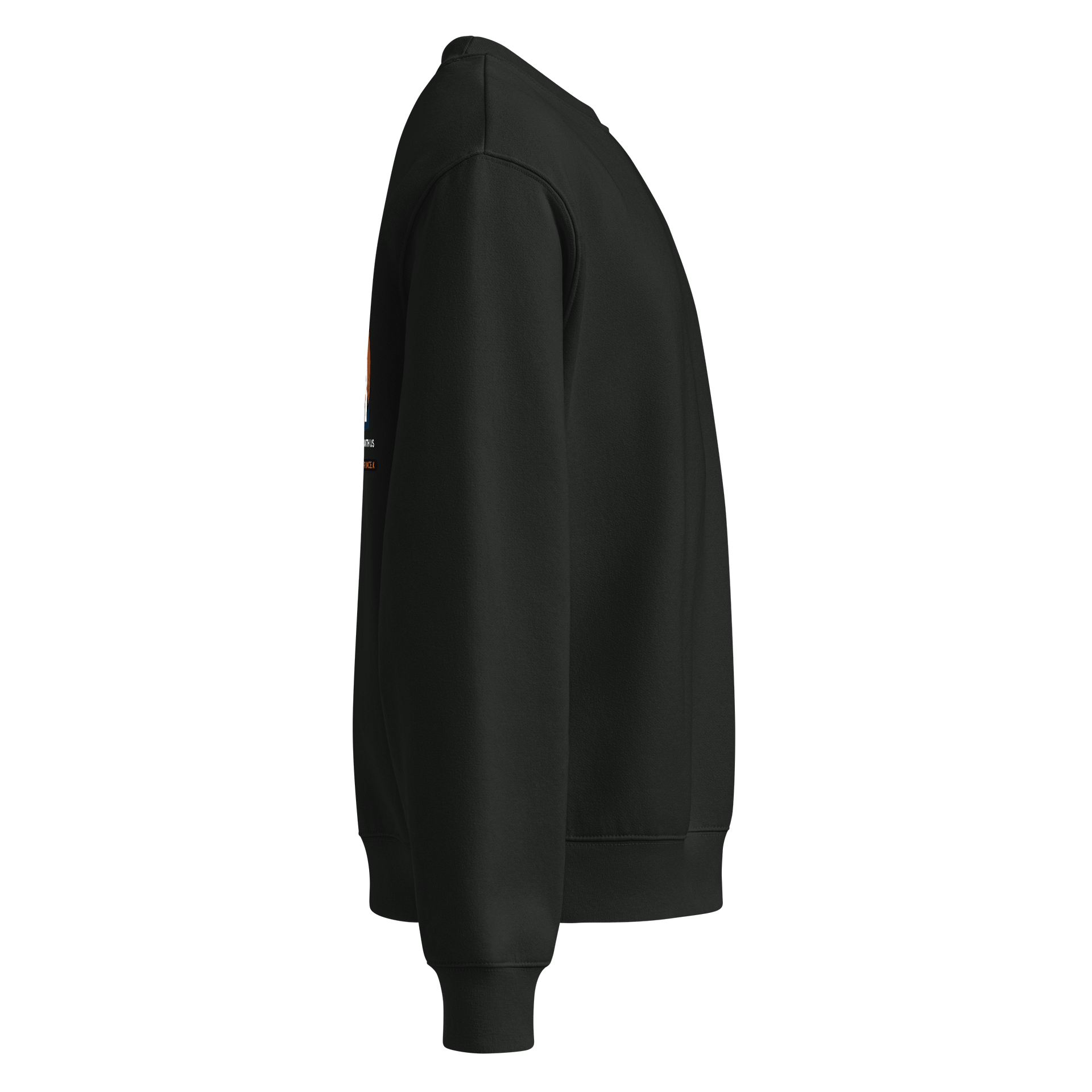 Regal Crown Oversized Sweatshirt product image (4)