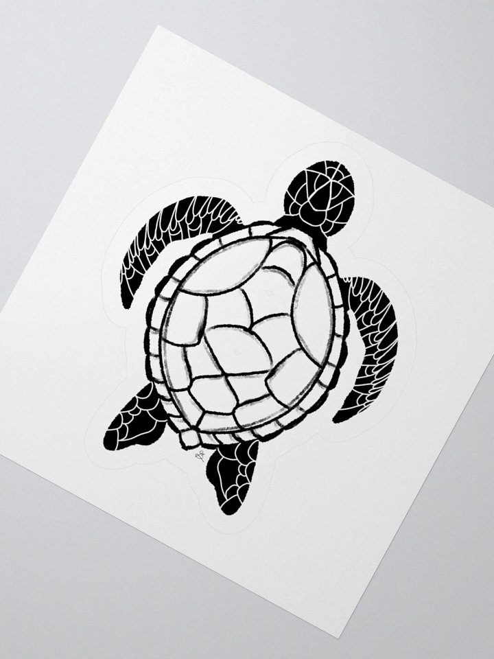 TT5 Turtle 01 - Chakra Series product image (6)