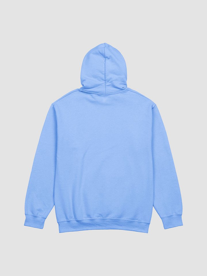 Remember Your Why Hoodie product image (16)