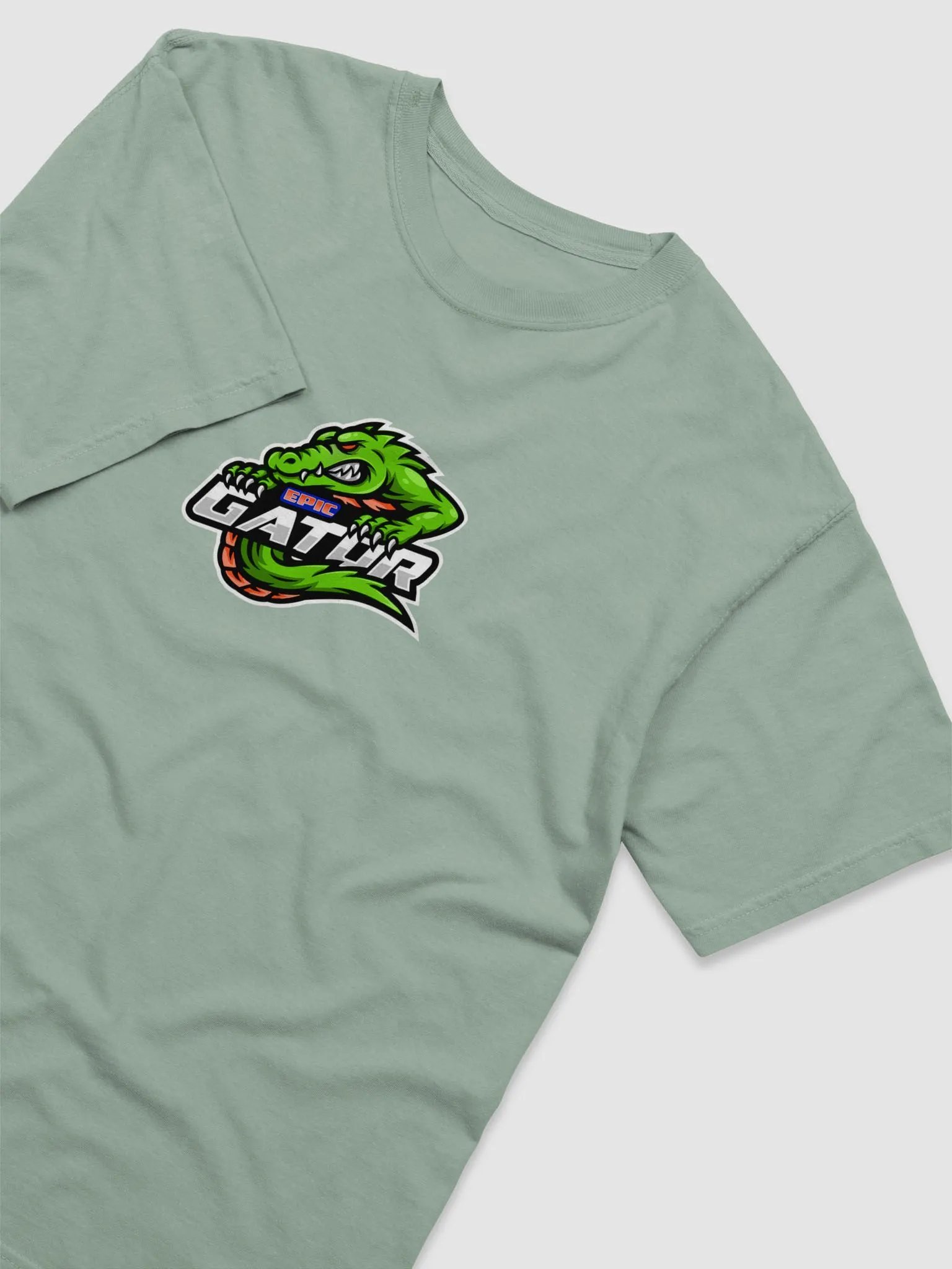 V3 Logo Comfort Colors Garment-Dyed Heavyweight T-Shirt product image (32)