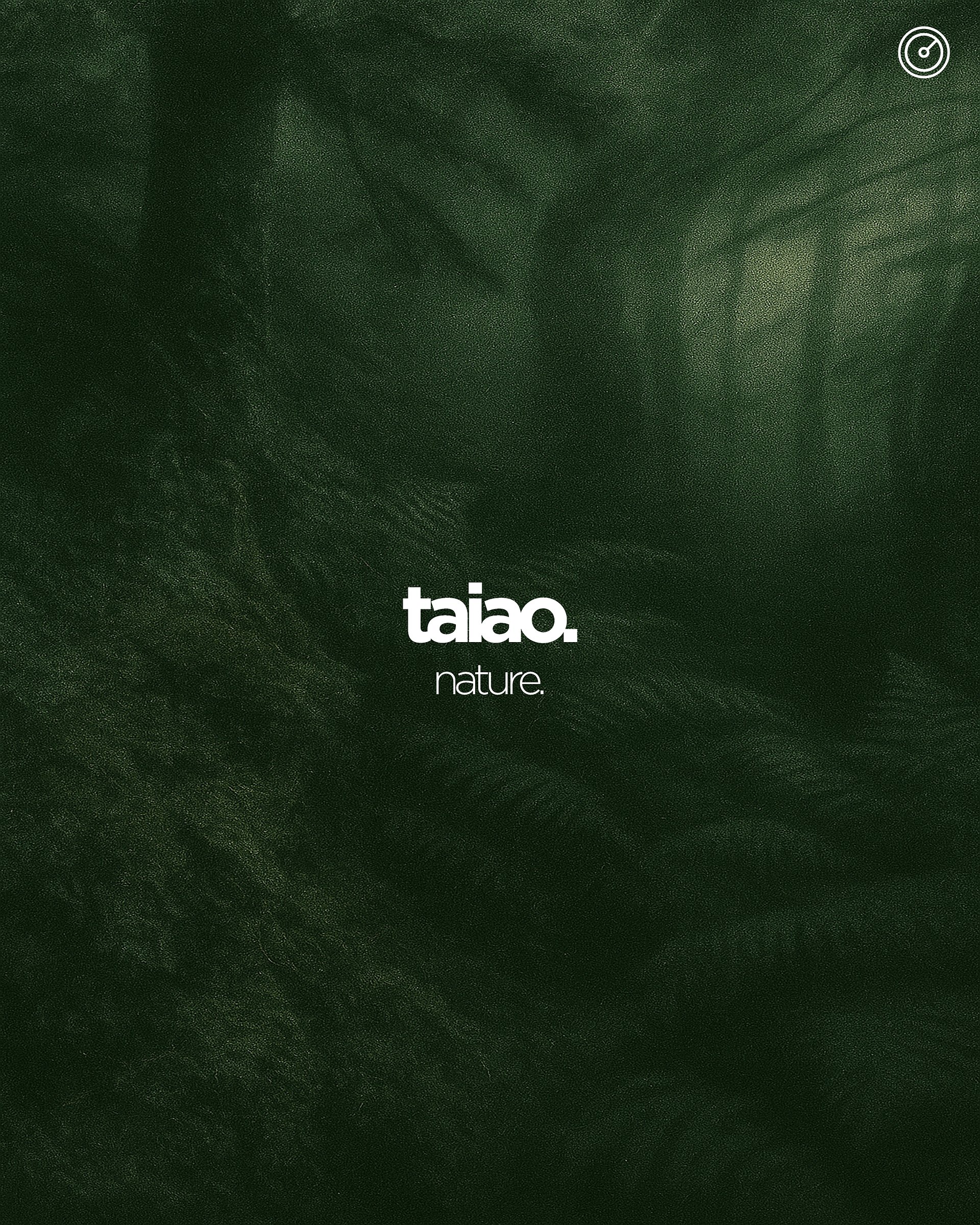 taiao - soundsapes of New Zealand nature. product image (4)