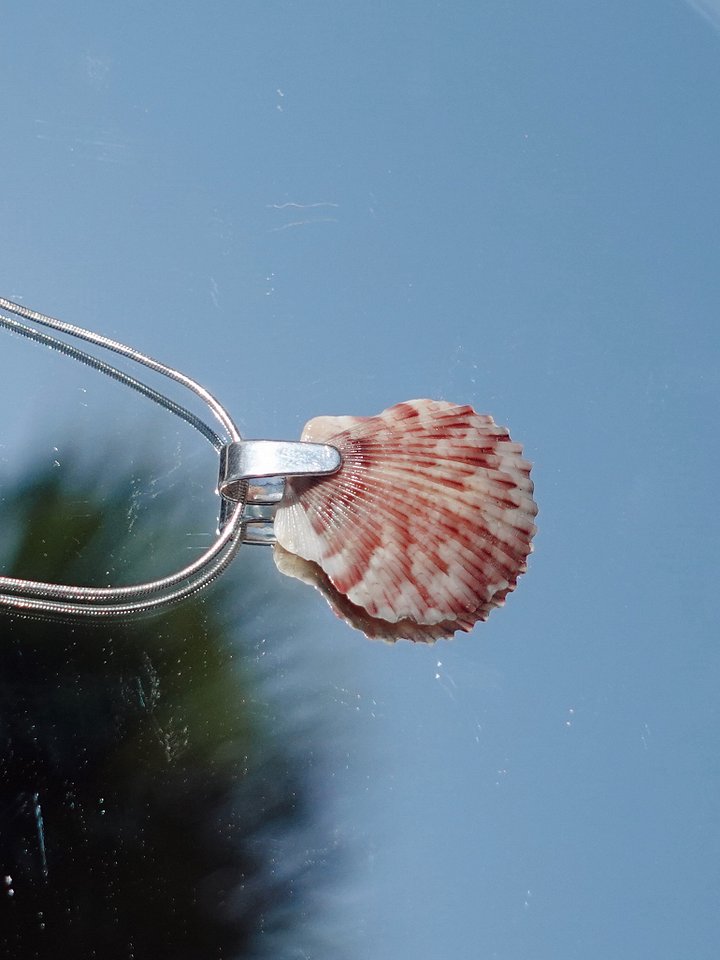 Mermaid Wish Necklace ~ 5 product image (1)