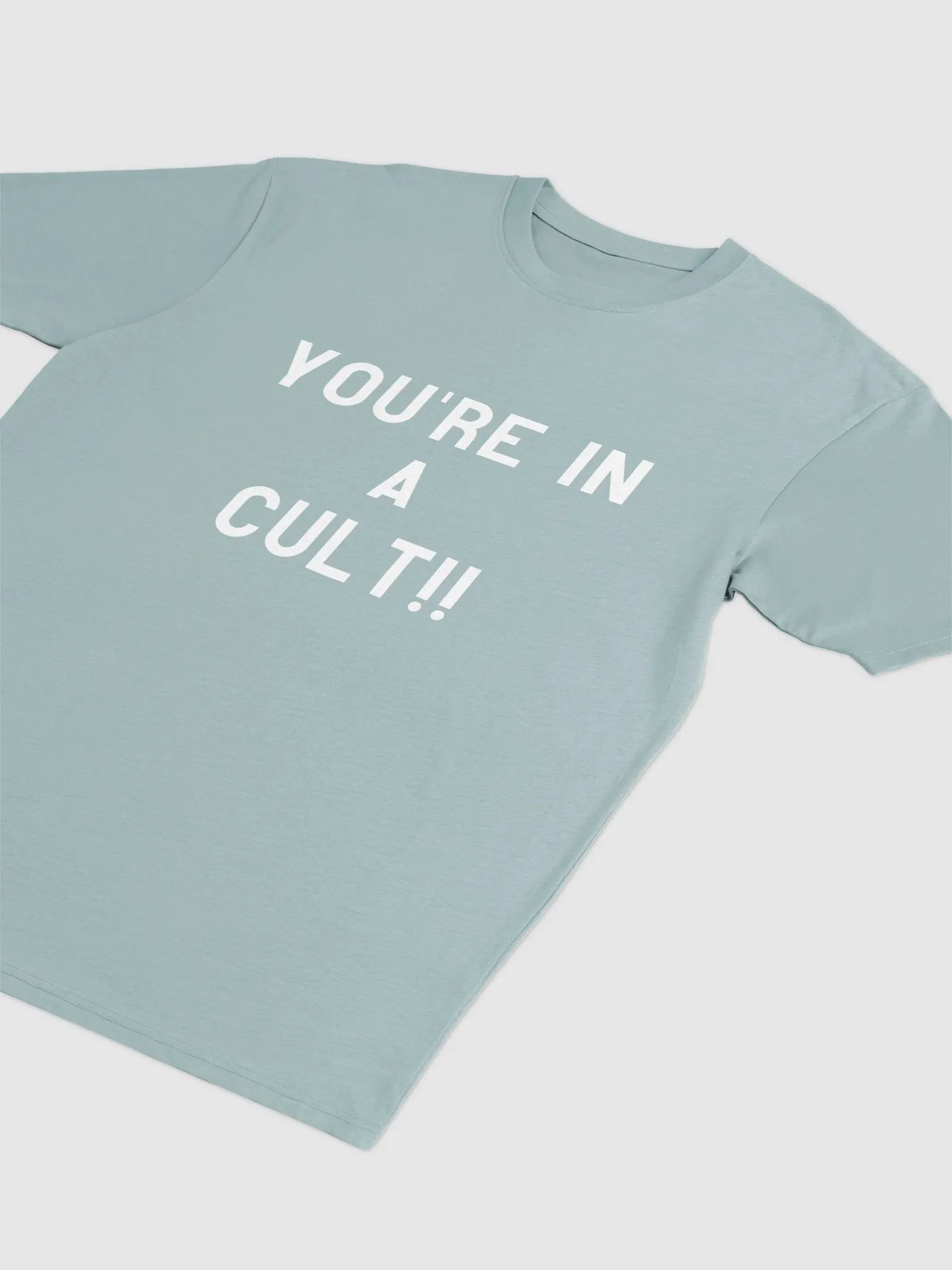 Pris- You're In A Cult -Cotton Heritage Men's Premium Heavyweight Tee product image (8)