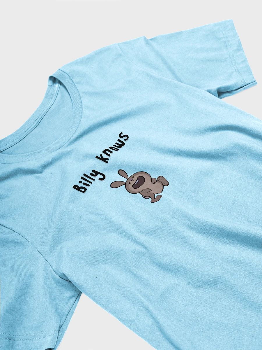 Billy Knows product image (18)
