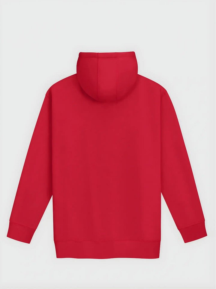 Cotton Heritage Premium: The Perfect Oversized Hoodie Outfit for Holidays product image (2)