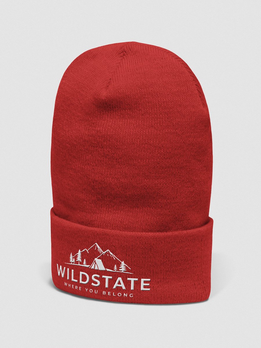 Cuffed Beanie - Wildstate product image (38)