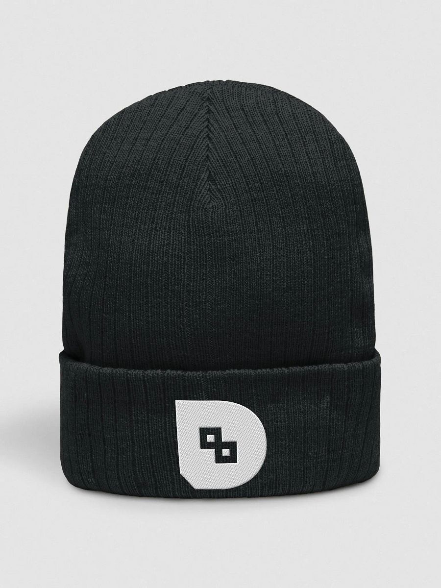 Danfinity Logo Beanie product image (1)