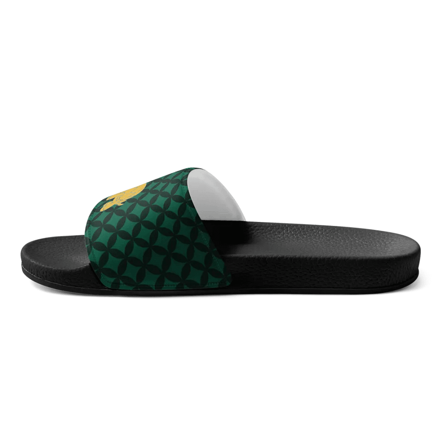 Regal Turtle Crown Women's Slides product image (8)