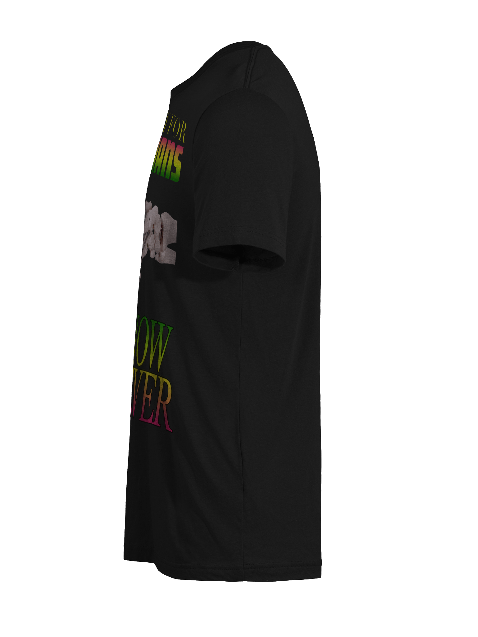 NO MONEY FOR POLITICIANS "TRI BLEND" product image (41)