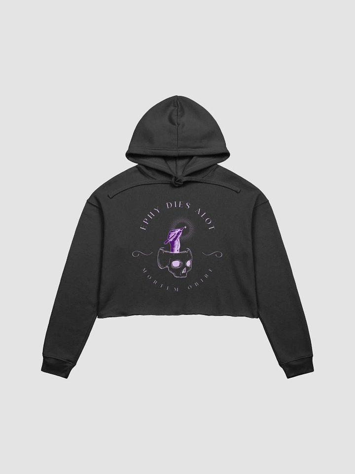 The Heritage Collection Lilac Crop Hoodie product image (1)