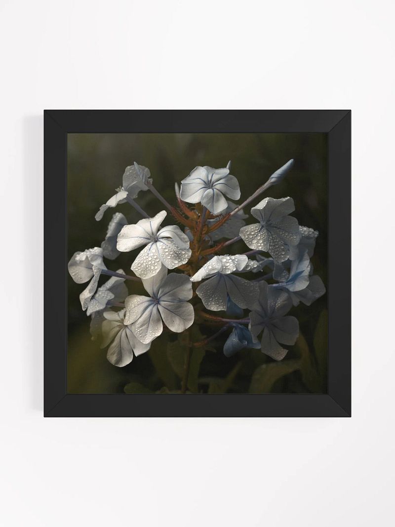 Plumbago