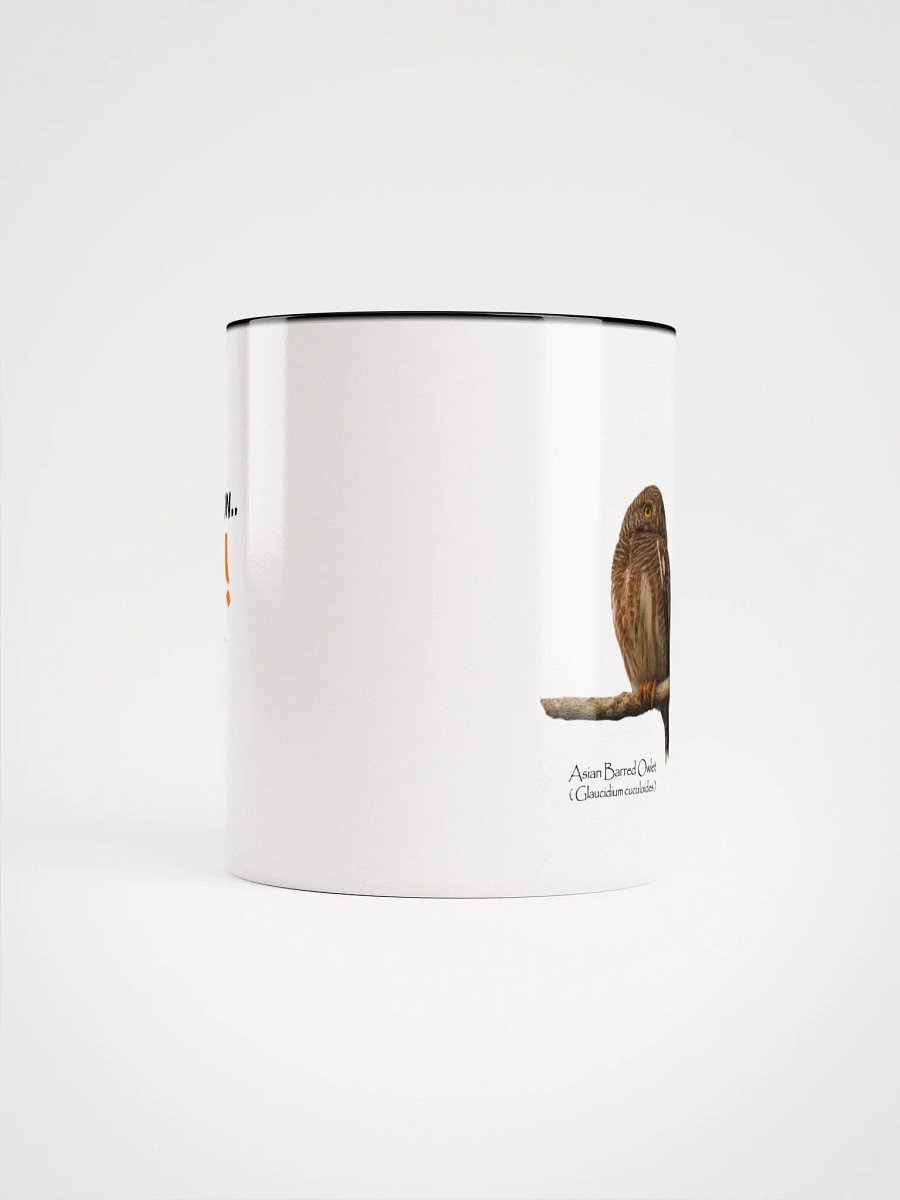 Asian Barred Owlet mug product image (44)