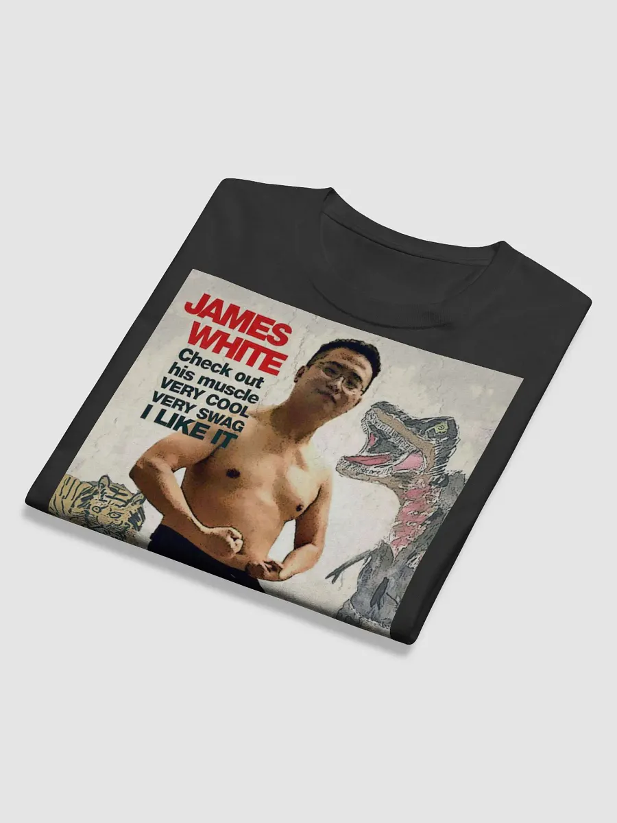 Champion Long Sleeve Shirt : swag warrior product image (6)