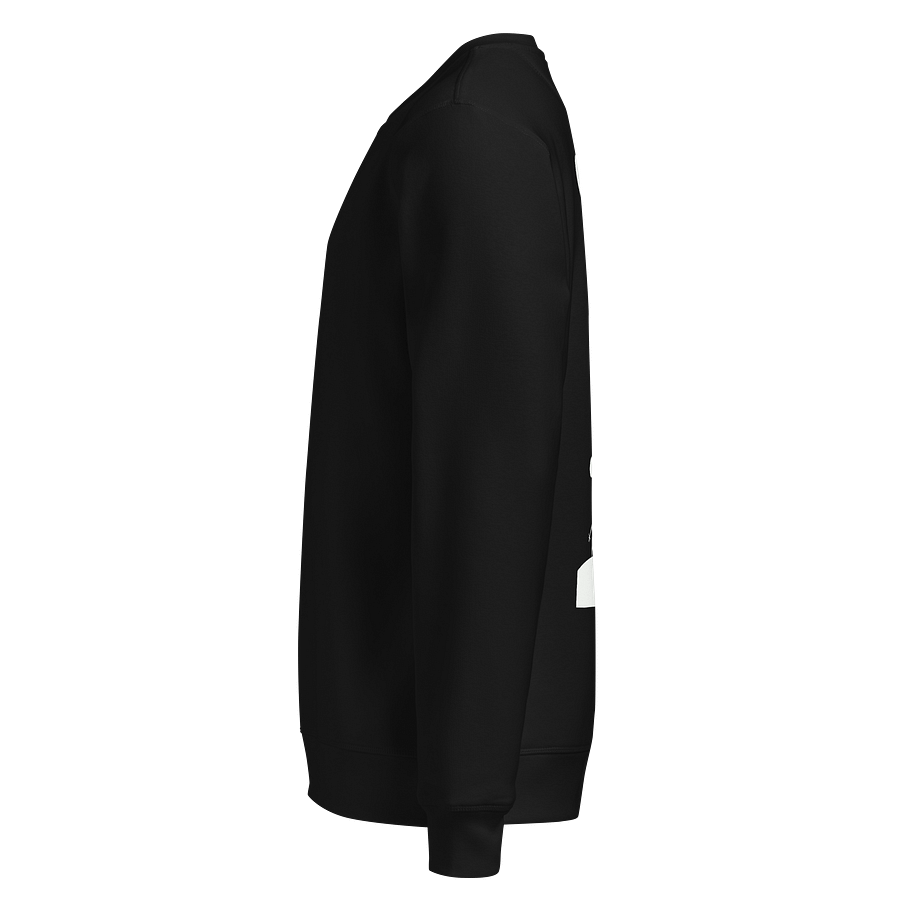 Stanley/Stella Unisex Organic Sweatshirt product image (3)