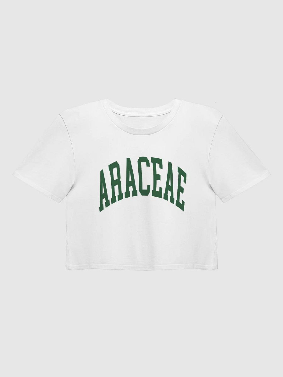 ARACEAE varsity crop top product image (1)