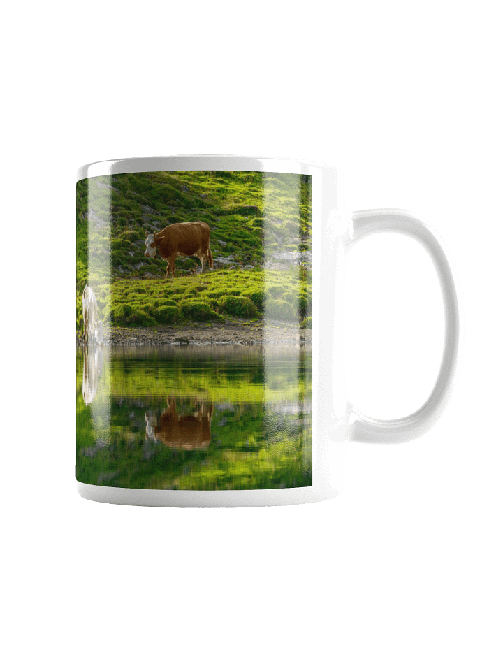Cows with their reflections product image (5)