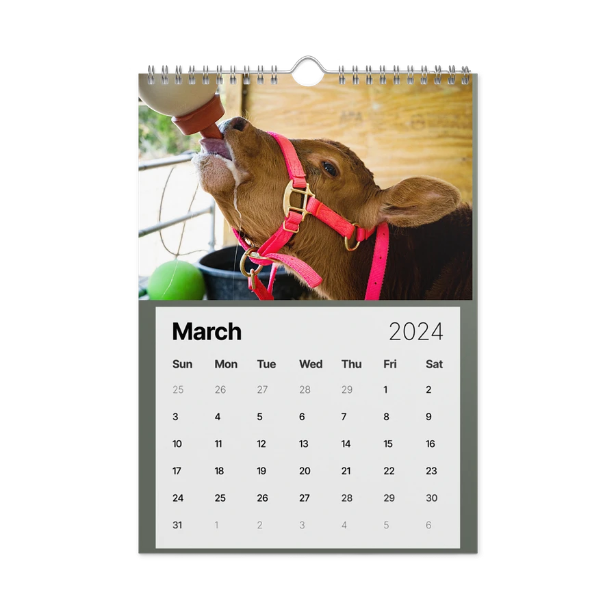 Alveus 2024 Calendar product image (14)