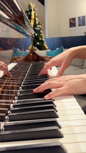 My Love Mine All Mine 🎄☃️

#piano #christmas #mitski
