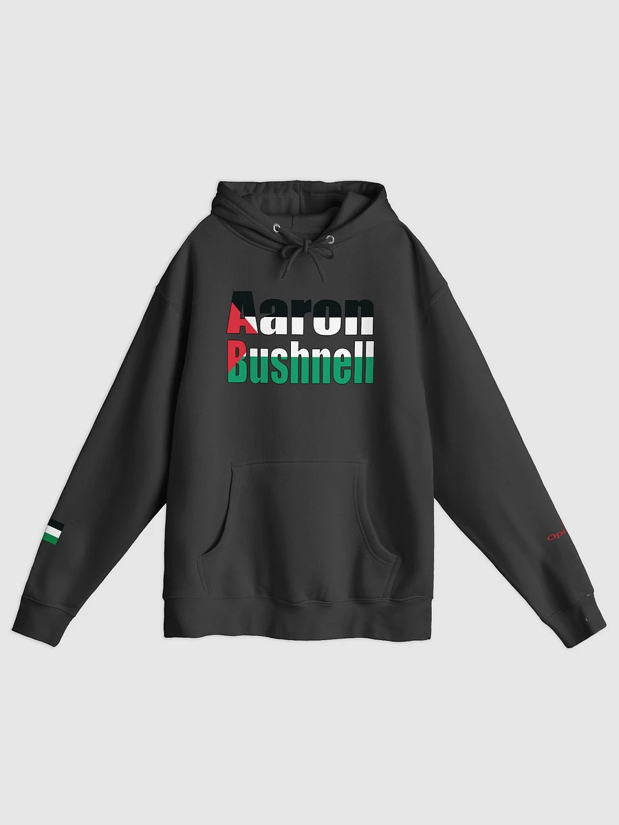 Aaron Bushnell - Palestine - Lane Seven Premium Pullover Hoodie product image (4)