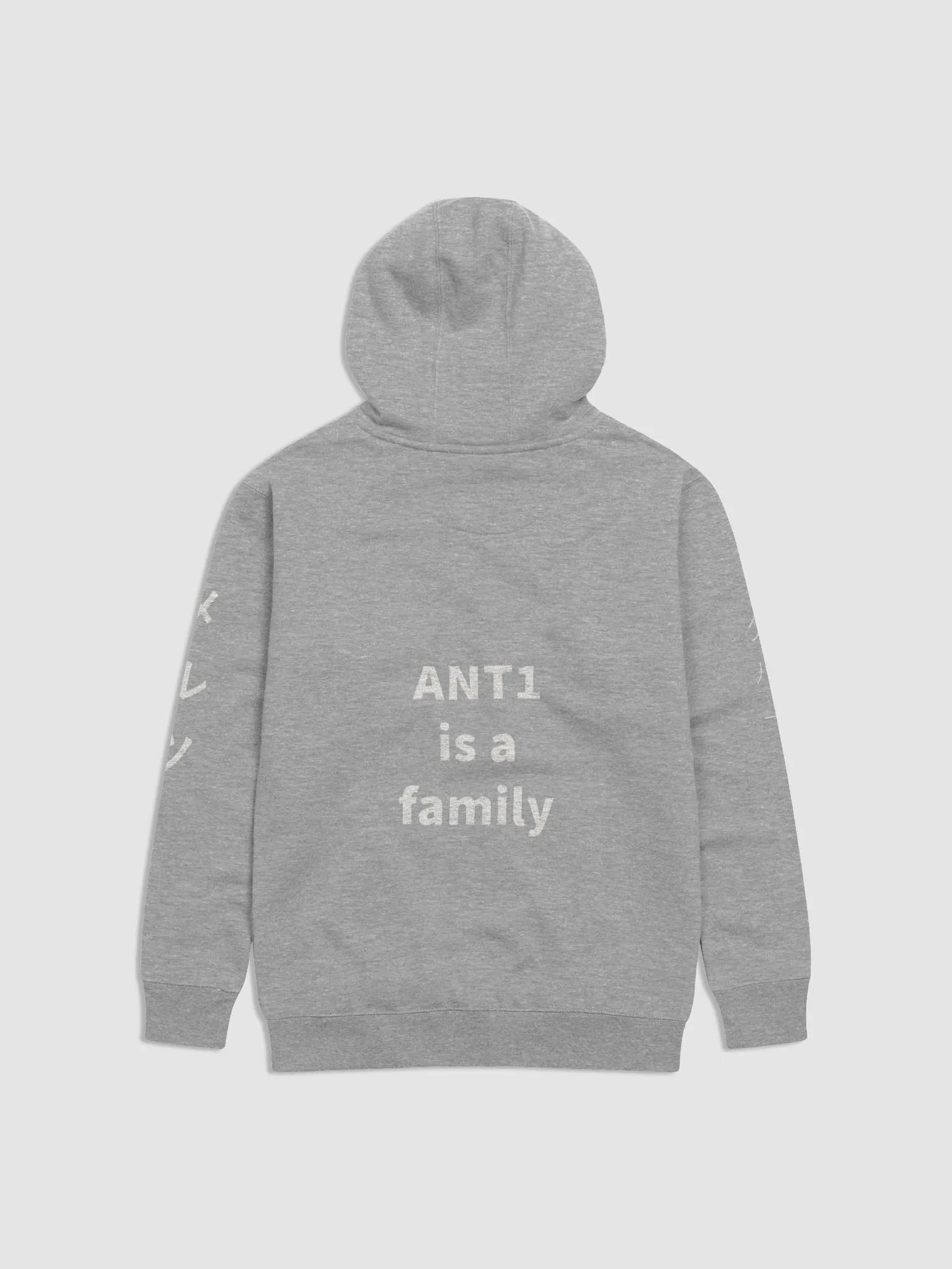 grey ANT1 hoodie product image (2)