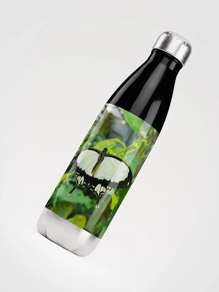 Mocker Swallowtail Tropical Butterfly Stainless Steel Water Bottle product image (1)