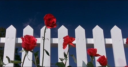 BLUE VELVET (1986)

Written & Directed by David Lynch