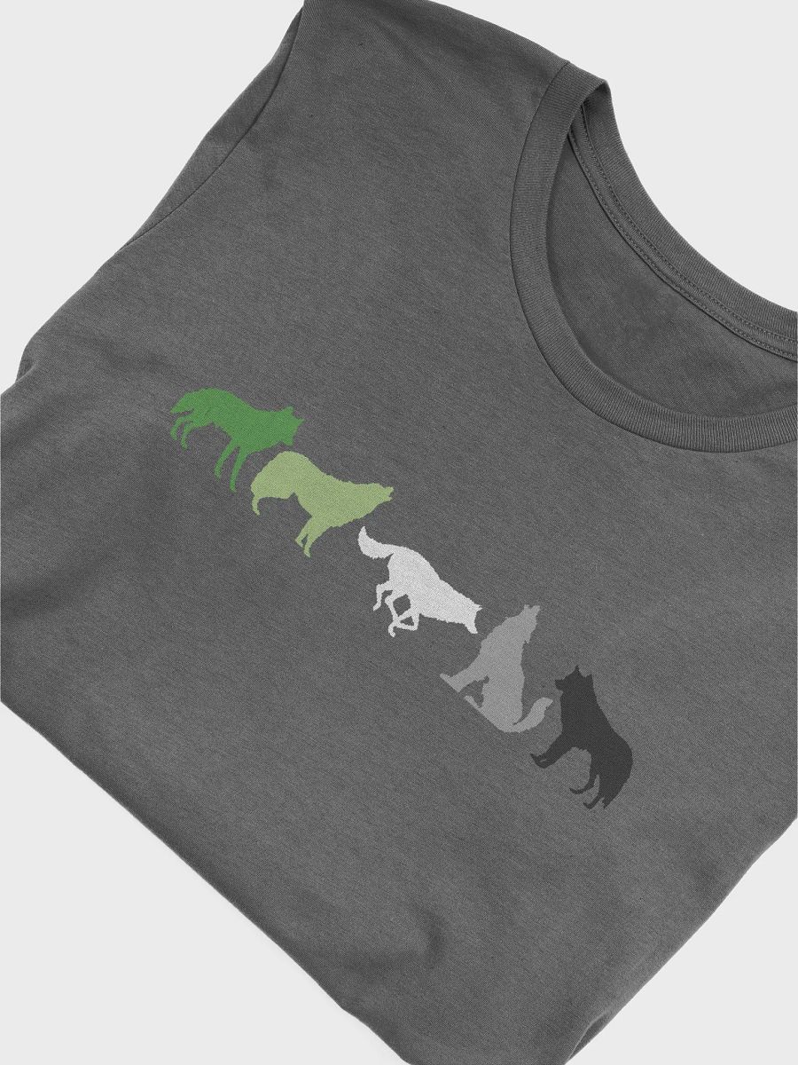 Aromantic Pride Wolves Women's T-Shirt product image (46)