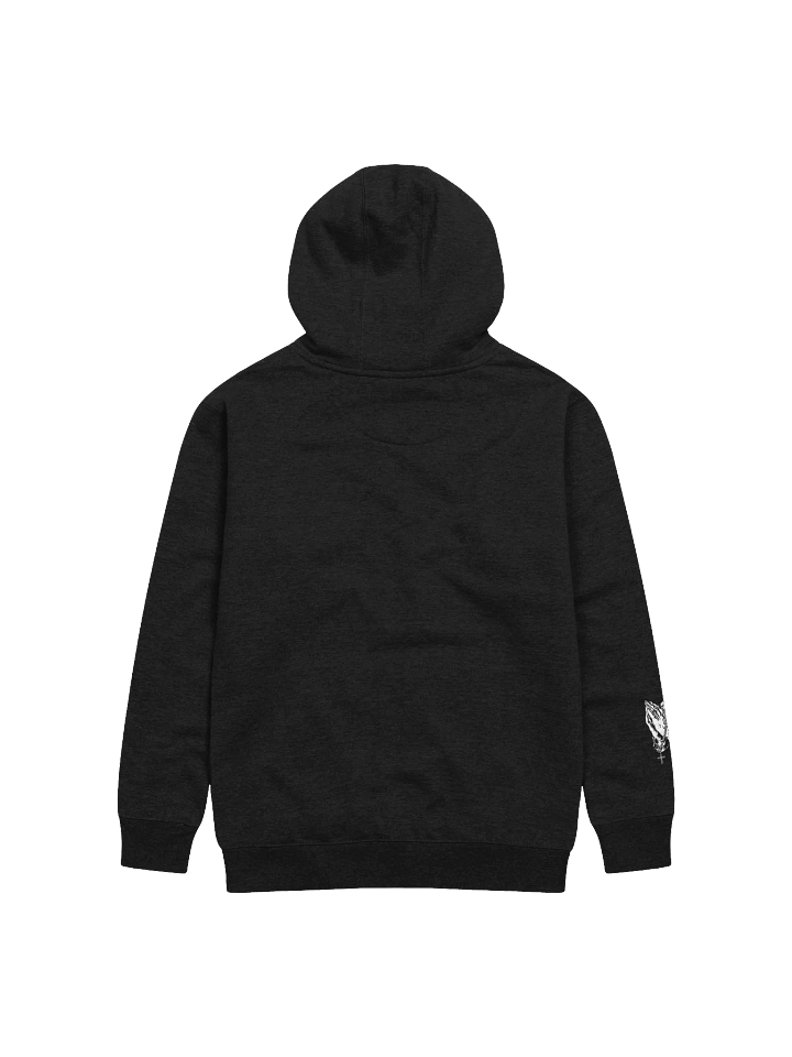 REDEMPTION THROUGH HIM HOODIE product image (2)