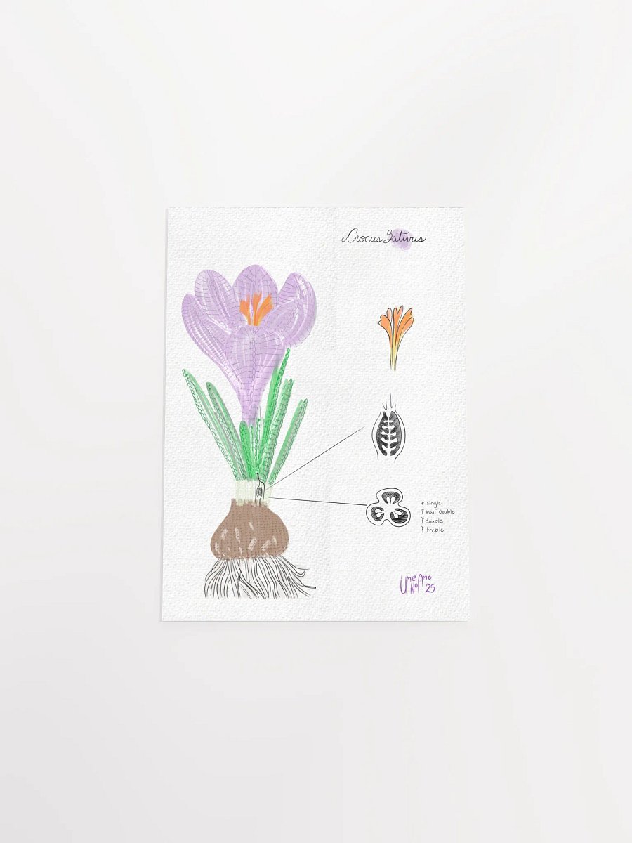 Crochet Vision: Crocus Print product image (7)