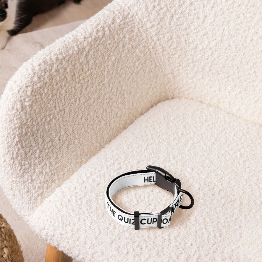 Pet Collar product image (4)