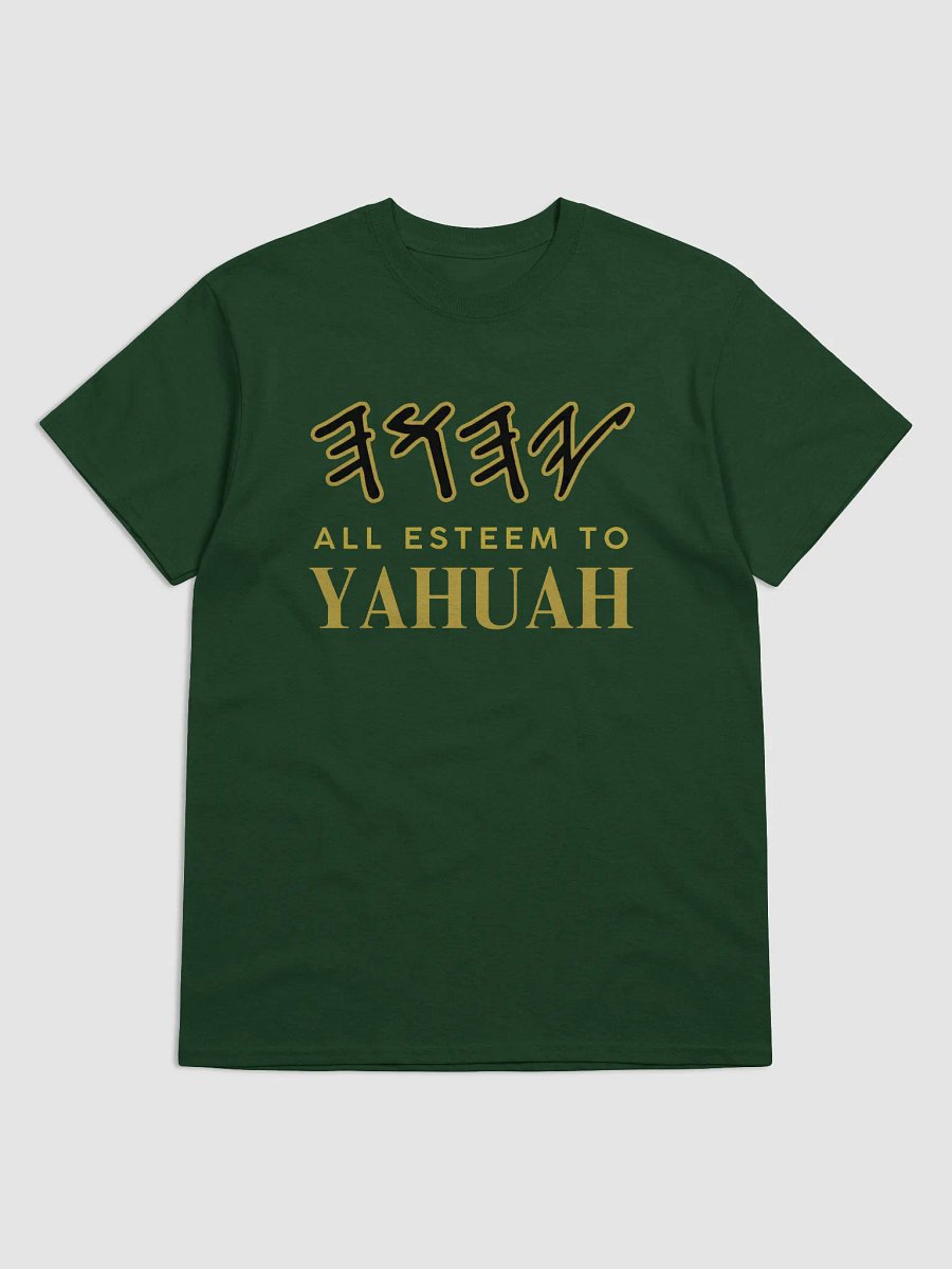 Yasharal Original Music: All Esteem To YAHUAH | T-Shirt | Forest Green product image (1)
