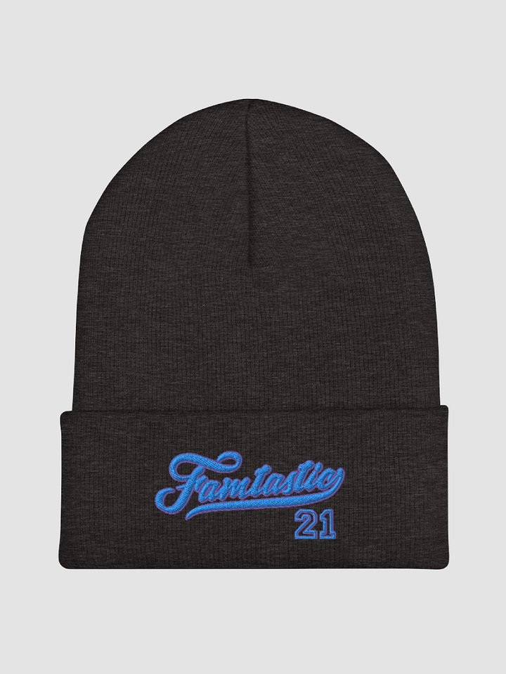 Famtastic Beanie product image (1)