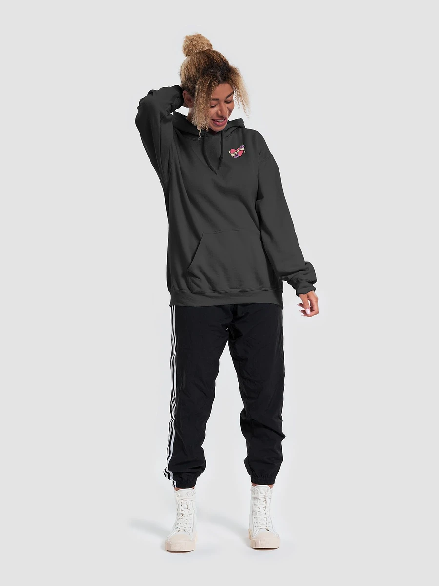 RBQ Midweight Hoodie (S-5XL) product image (7)