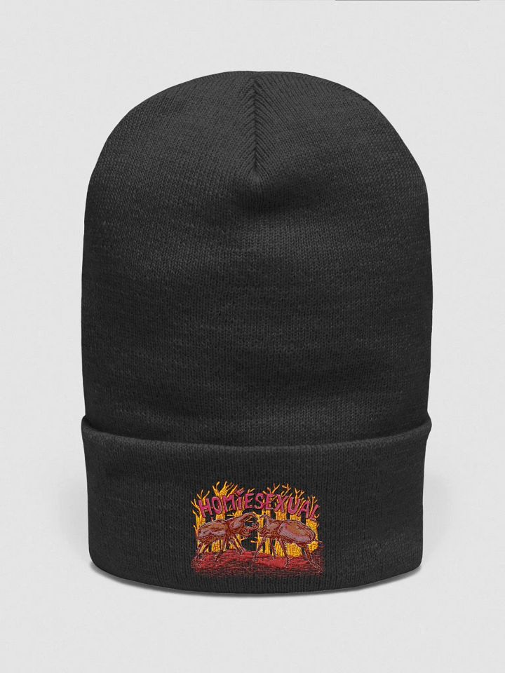 homiesexual beanies! product image (1)