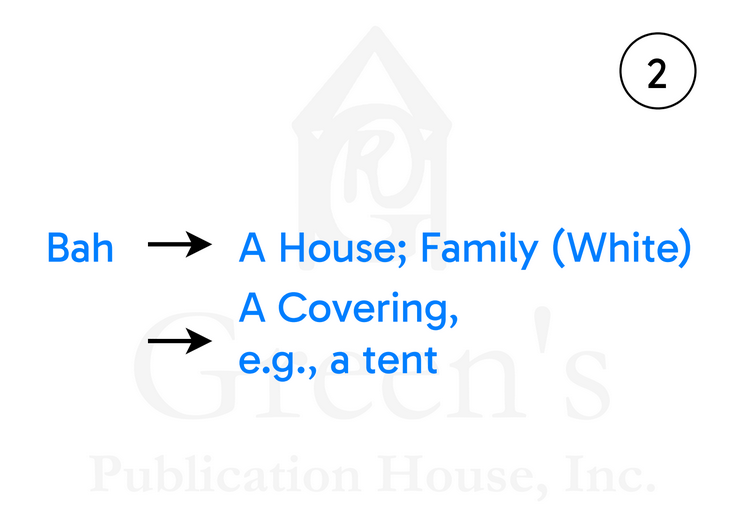 Learn Your Fire Language: Study Card Game product image (9)