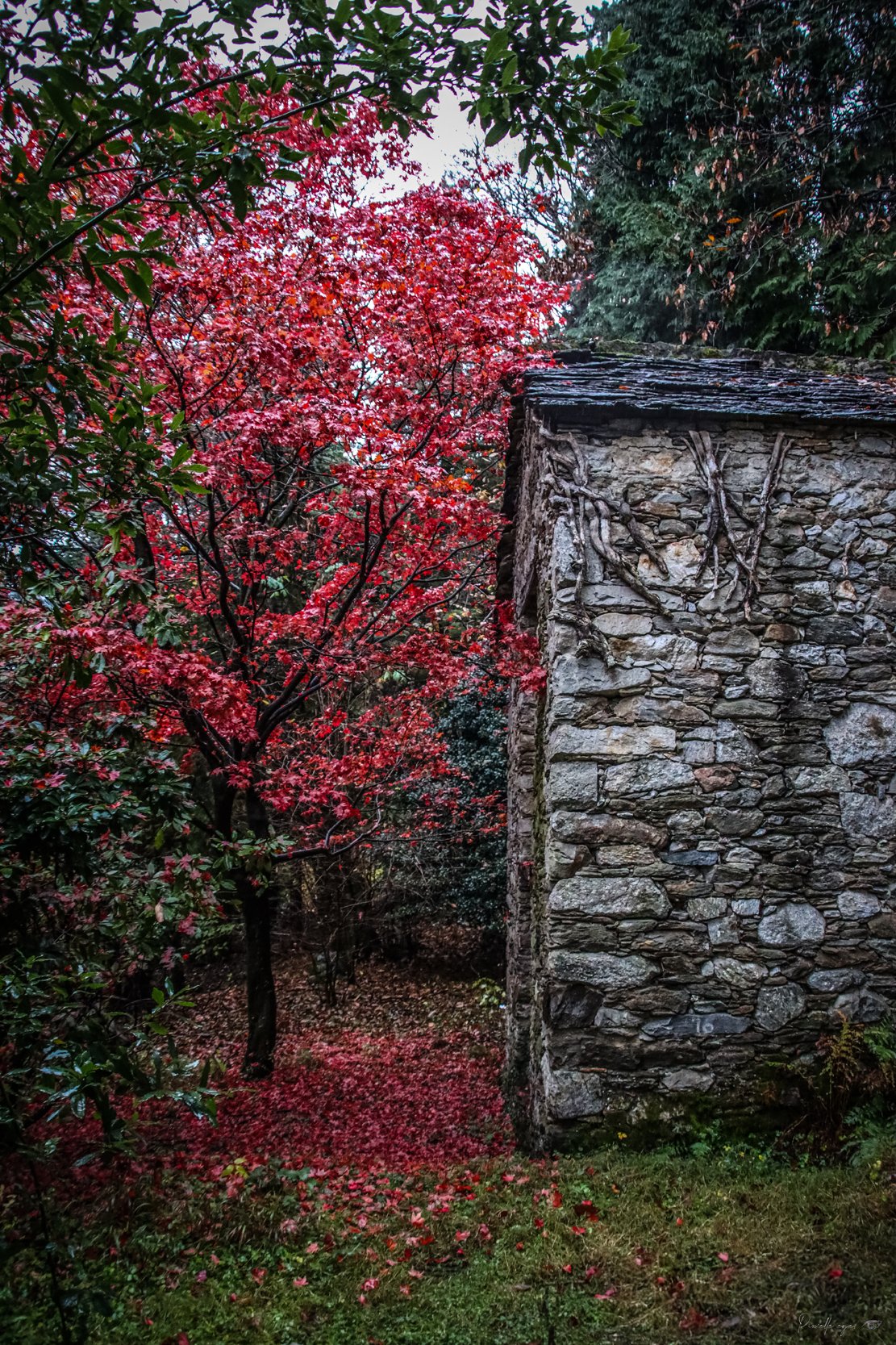 Fine Art - The Forgotten Sanctuary product image (1)