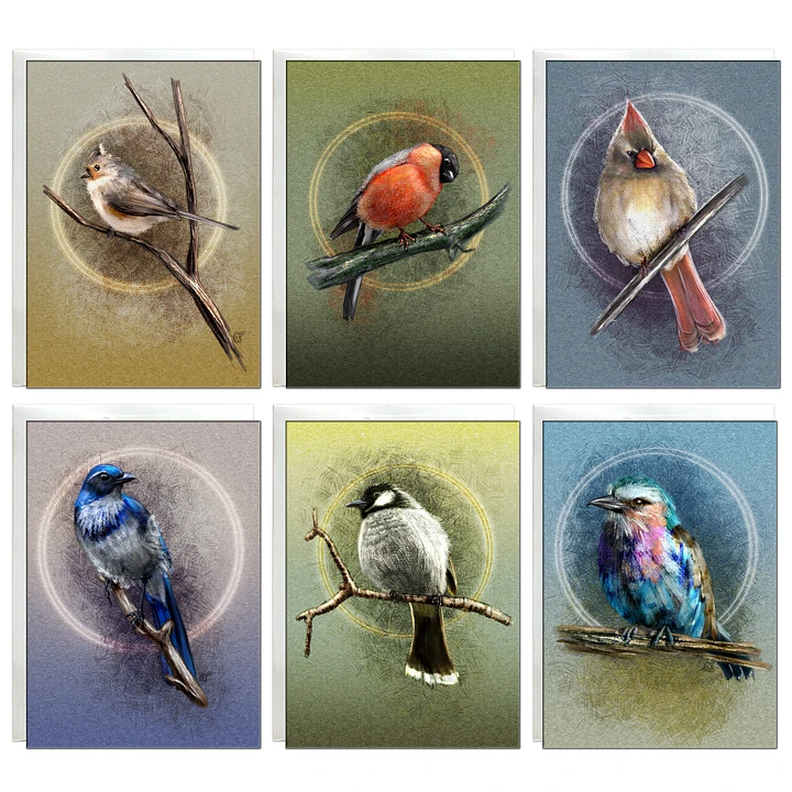 Illustrated Birds Variety Pack Greeting Cards, 5x7” Note Cards, 6 Pack, Blank Inside, with Envelopes product image (2)