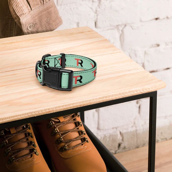 Rowdy Tuesday - Pet Collar product image (2)