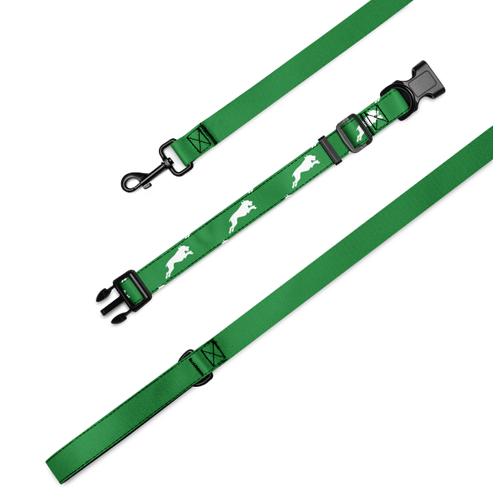 Forest Green Collar & Leash product image (2)