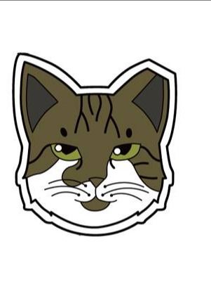 Cat Book Bundle product image (3)