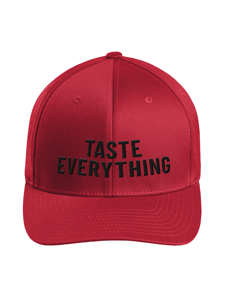 Taste Everything Flexfit Cap product image (1)