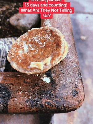 They do be tasting good though!!! Probably all the chemicals! #mcdonalds #sausagemcmuffin 