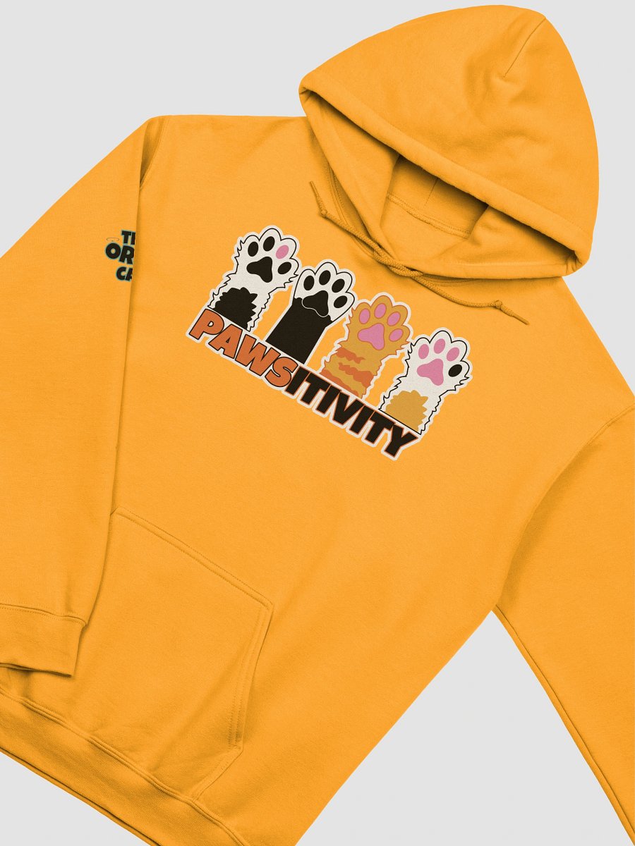Pawsitivity Hoodie product image (3)