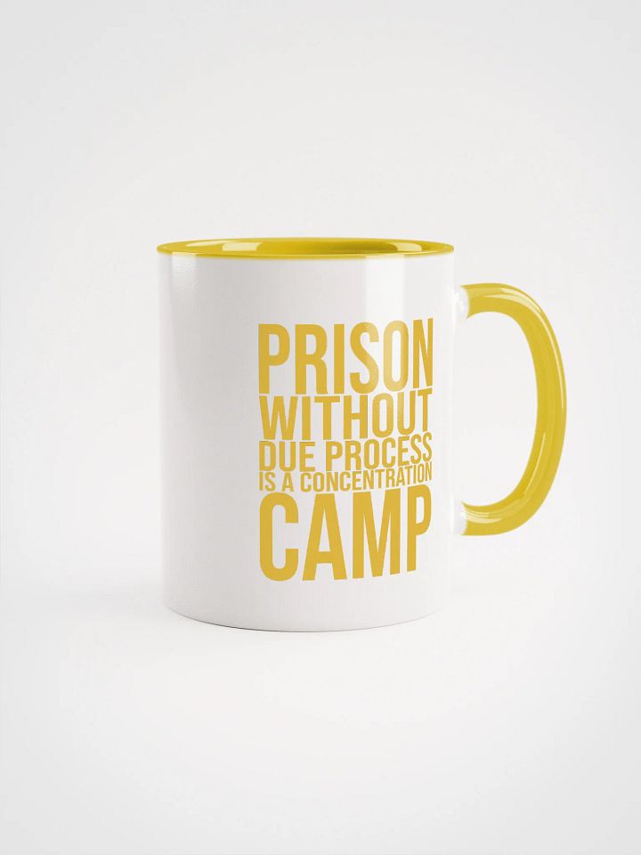 Due Process Concentration Camp Mug- Being Liberal product image (1)