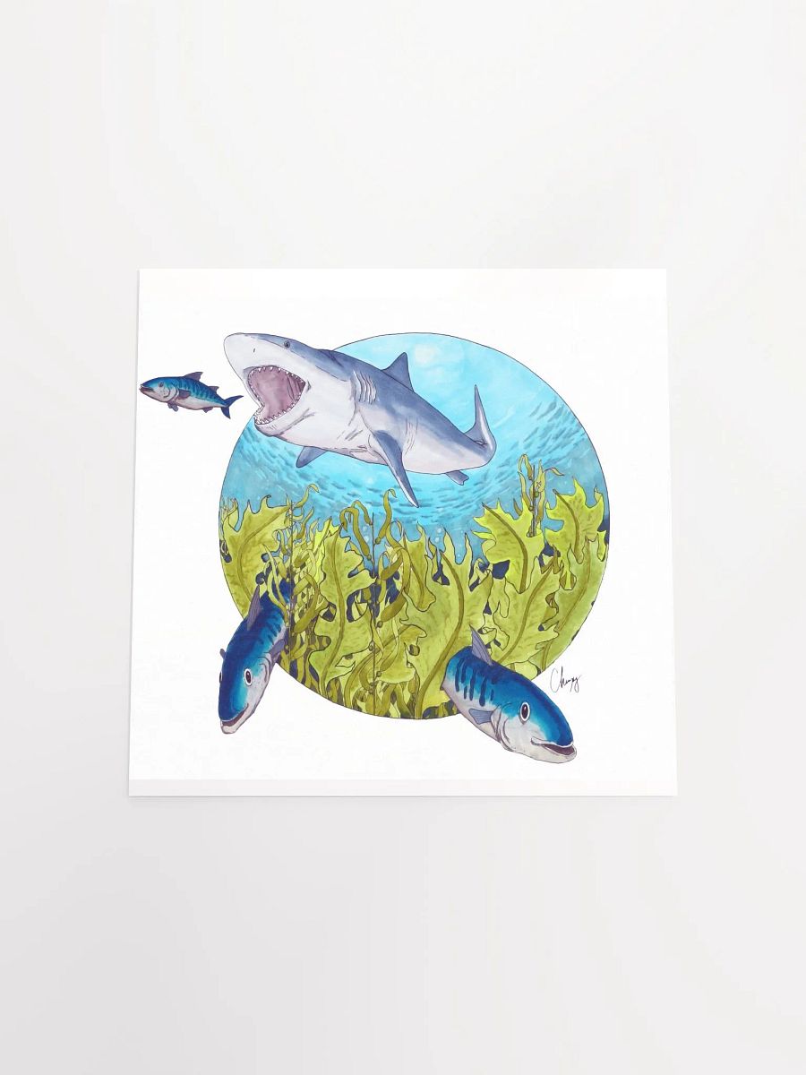 Shark Dinner product image (4)