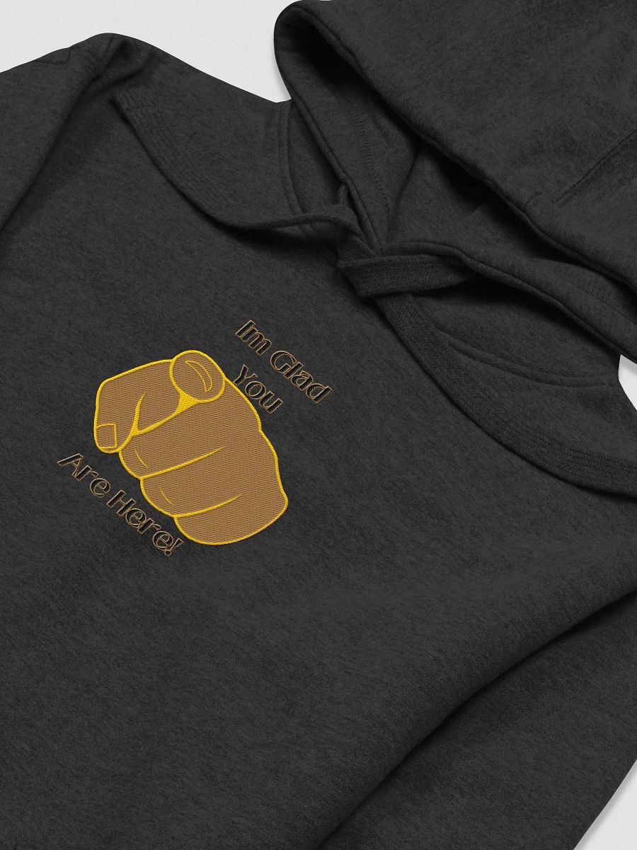 Embroidered Im Glad you are here! Hoodie. product image (23)