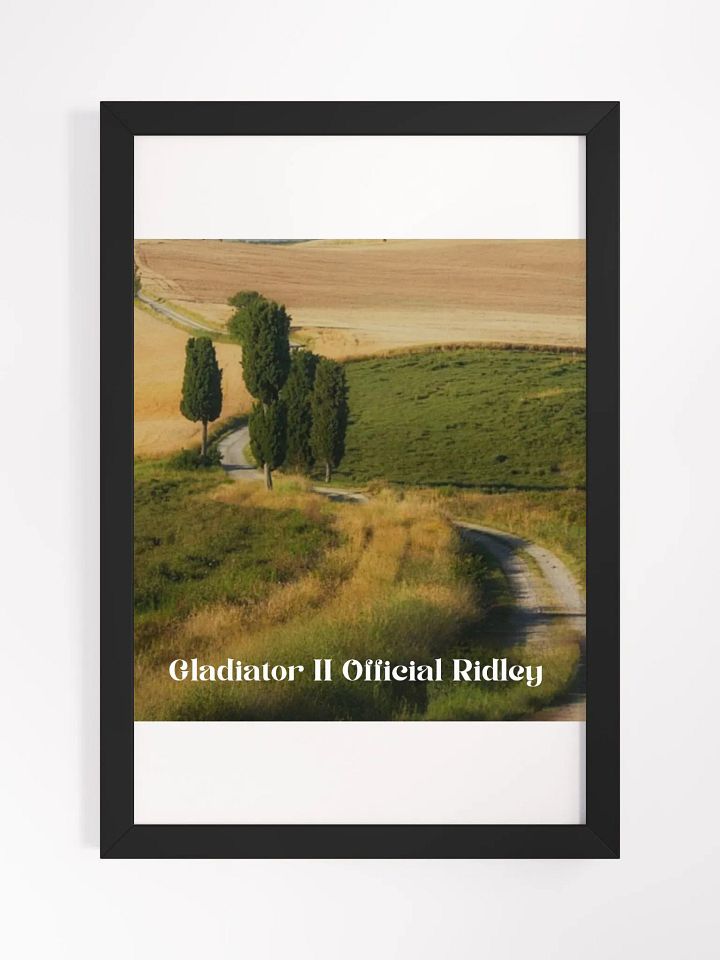 Wall Art Gladiator II Official Ridley Framed High-Quality Matte Poster (in) product image (1)