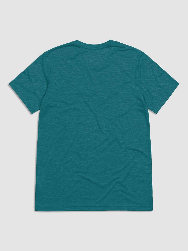 Arab Instruments Bella+Canvas Triblend Short Sleeve product image (17)