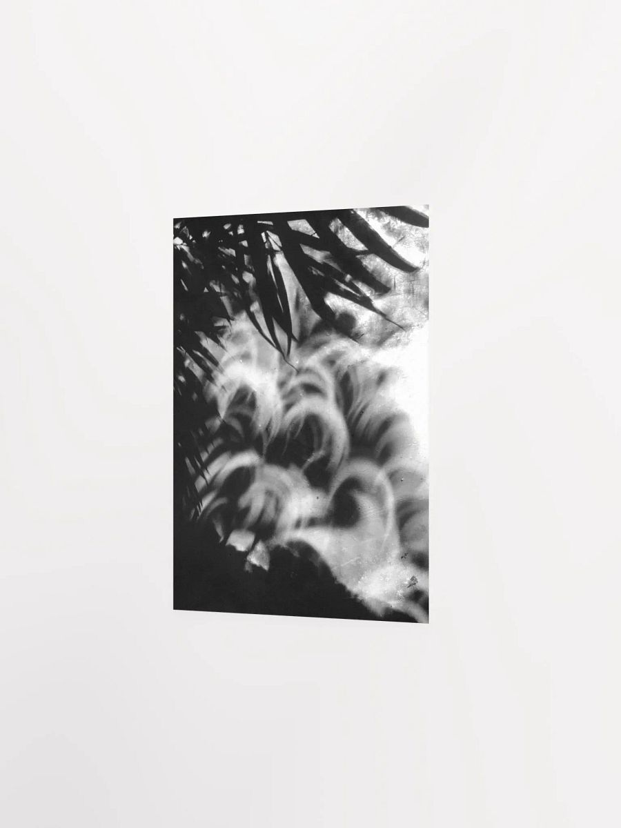 Crescents of Light from the Eclipse - Poster 3 product image (15)